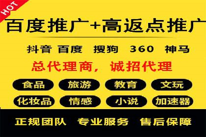 大型企业SEM外包实战案例